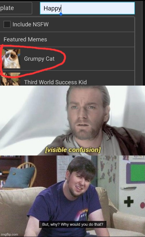 The 2nd one makes sense, but not the first one. Or at least grumpy cat doesn't look happy to me | image tagged in visible confusion,but why why would you do that,grumpy cat,happy,imgflip,search | made w/ Imgflip meme maker