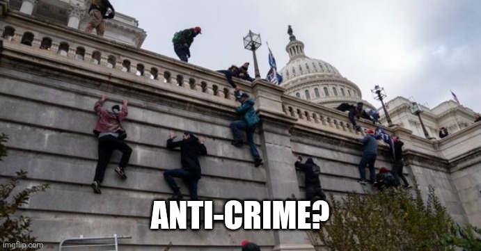 capitol riot | ANTI-CRIME? | image tagged in capitol riot | made w/ Imgflip meme maker