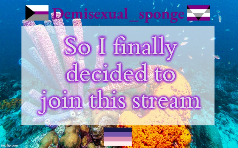 I've been an occasional visitor until now | So I finally decided to join this stream | image tagged in demisexual_sponge's template 3,demisexual_sponge | made w/ Imgflip meme maker