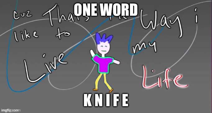 Cuz that's the way I like to live my life | ONE WORD; K N I F E | image tagged in cuz that's the way i like to live my life | made w/ Imgflip meme maker