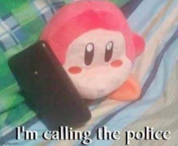 Waddle Dee Calls the Police | image tagged in waddle dee calls the police | made w/ Imgflip meme maker