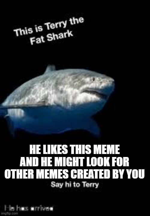 Terry the fat shark | HE LIKES THIS MEME AND HE MIGHT LOOK FOR OTHER MEMES CREATED BY YOU | image tagged in terry the fat shark | made w/ Imgflip meme maker