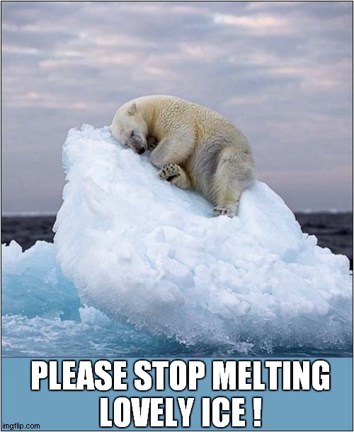 Not Enough Ice For This Polar Bear ! | PLEASE STOP MELTING
LOVELY ICE ! | image tagged in iceberg,polar bear,global warming | made w/ Imgflip meme maker