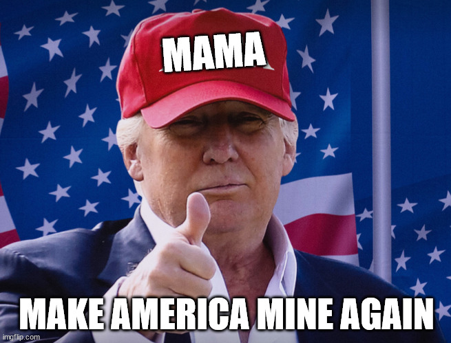 Please make it stop | MAMA; MAKE AMERICA MINE AGAIN | image tagged in sorry not sorry | made w/ Imgflip meme maker