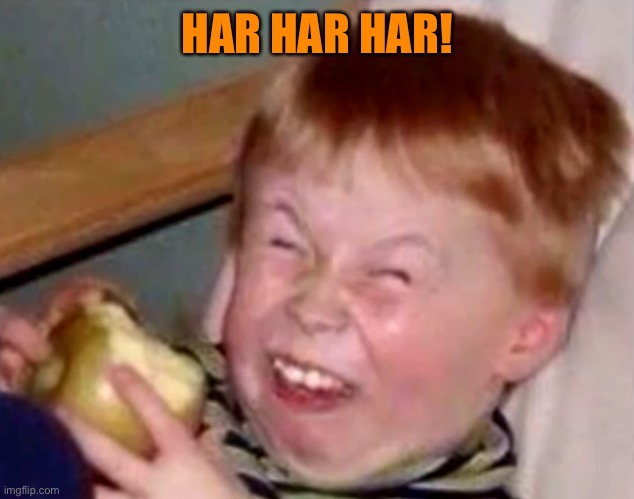 Sarcastic laughing kid | HAR HAR HAR! | image tagged in sarcastic laughing kid | made w/ Imgflip meme maker