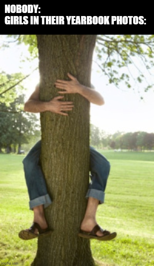 tree hugger |  NOBODY:
GIRLS IN THEIR YEARBOOK PHOTOS: | image tagged in tree hugger | made w/ Imgflip meme maker