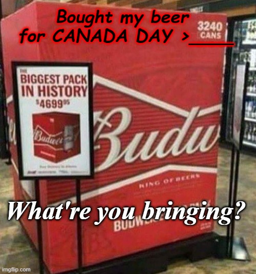 Happy CANADA Day! | Bought my beer  for CANADA DAY >____; What're you bringing? | image tagged in canada,meanwhile in canada,canada day,hold my beer | made w/ Imgflip meme maker