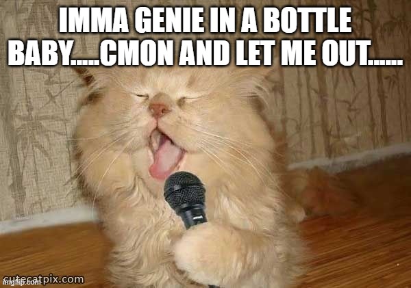 Cat Singing | IMMA GENIE IN A BOTTLE BABY.....CMON AND LET ME OUT...... | image tagged in cat singing | made w/ Imgflip meme maker