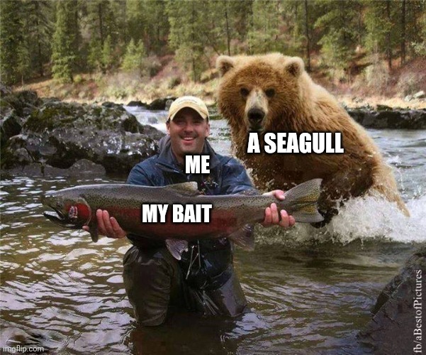 Fishermen should be allowed to carry a shotgun for the birds that take your bait | A SEAGULL; ME; MY BAIT | image tagged in fishing,my bait | made w/ Imgflip meme maker