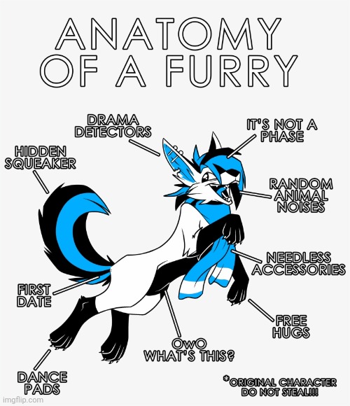 Yusssss | image tagged in furry,anatomy of a furry | made w/ Imgflip meme maker