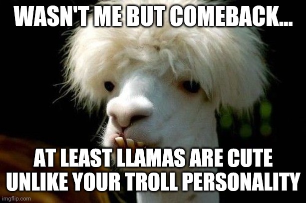 WASN'T ME BUT COMEBACK... AT LEAST LLAMAS ARE CUTE UNLIKE YOUR TROLL PERSONALITY | made w/ Imgflip meme maker