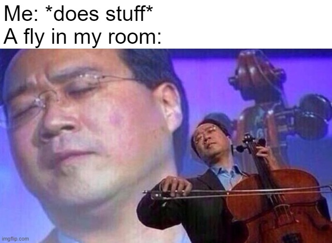 WARNING! HIGHLY RELATEABLE MEME! | Me: *does stuff*
A fly in my room: | image tagged in violinist,relateable,fly | made w/ Imgflip meme maker