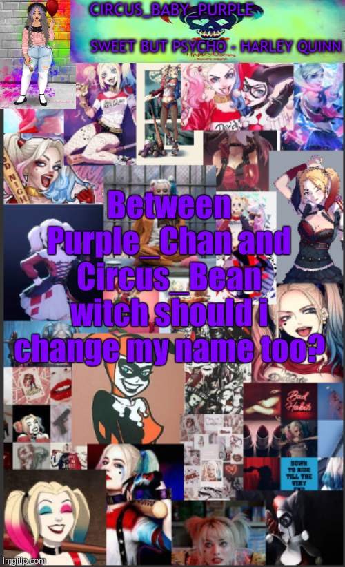Harley Quinn temp bc why not | Between Purple_Chan and Circus_Bean witch should i change my name too? | image tagged in harley quinn temp bc why not | made w/ Imgflip meme maker