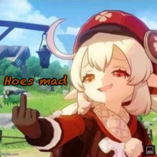 Hoes mad | image tagged in ram3n hoes mad idk | made w/ Imgflip meme maker