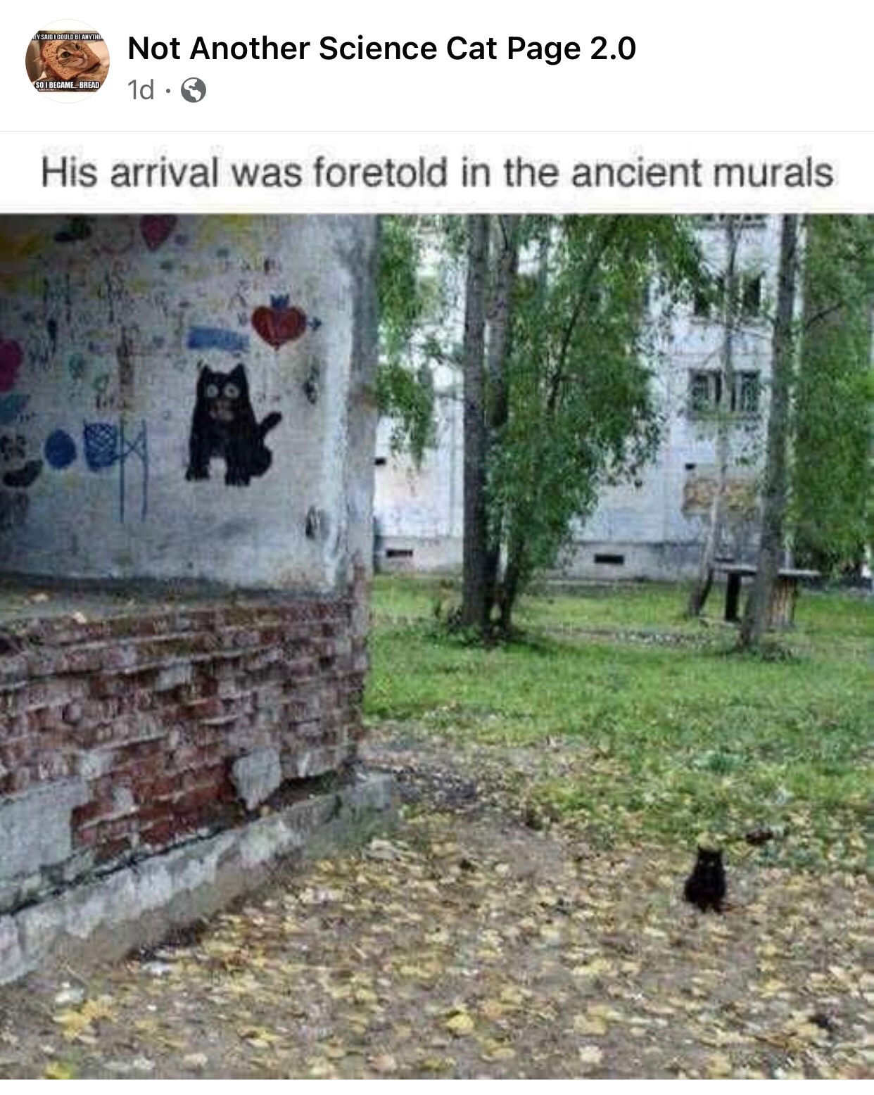 High Quality Cat Mural! Blank Meme Template