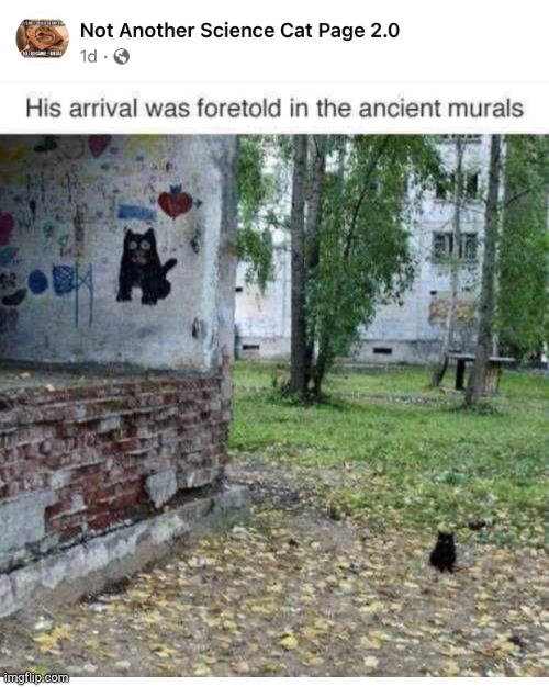 Ancient Cat! | image tagged in cat mural | made w/ Imgflip meme maker