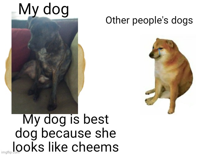 I know the meme is crappy but i tried. ok? | My dog; Other people's dogs; My dog is best dog because she looks like cheems | image tagged in memes,buff doge vs cheems | made w/ Imgflip meme maker