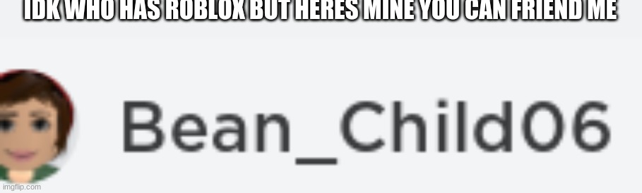 IDK WHO HAS ROBLOX BUT HERES MINE YOU CAN FRIEND ME | made w/ Imgflip meme maker