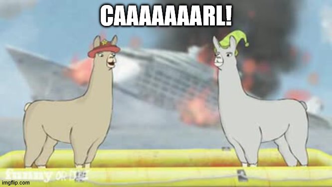 Llamas with hats | CAAAAAAARL! | image tagged in llamas with hats | made w/ Imgflip meme maker