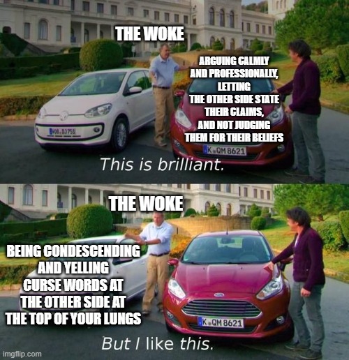 This Is Brilliant But I Like This | THE WOKE; ARGUING CALMLY AND PROFESSIONALLY, LETTING THE OTHER SIDE STATE THEIR CLAIMS, AND NOT JUDGING THEM FOR THEIR BELIEFS; THE WOKE; BEING CONDESCENDING AND YELLING CURSE WORDS AT THE OTHER SIDE AT THE TOP OF YOUR LUNGS | image tagged in this is brilliant but i like this | made w/ Imgflip meme maker