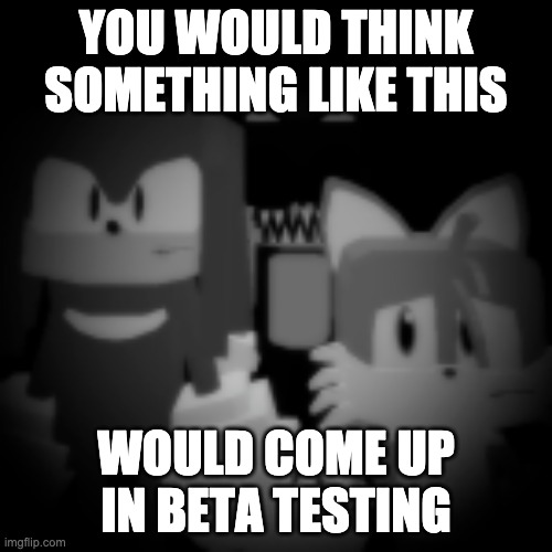 sonic.exe | YOU WOULD THINK SOMETHING LIKE THIS; WOULD COME UP IN BETA TESTING | image tagged in sonic exe | made w/ Imgflip meme maker