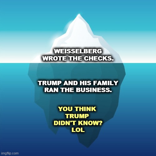 WEISSELBERG
WROTE THE CHECKS. TRUMP AND HIS FAMILY
RAN THE BUSINESS. YOU THINK 

TRUMP 
DIDN'T KNOW?
LOL | image tagged in little,fish,trump,whale | made w/ Imgflip meme maker