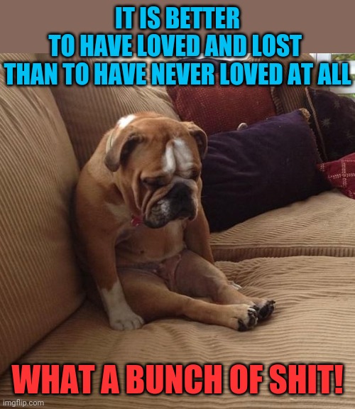 I'm more lonely now than I was before I met her | IT IS BETTER TO HAVE LOVED AND LOST 
THAN TO HAVE NEVER LOVED AT ALL; WHAT A BUNCH OF SHIT! | image tagged in bulldogsad | made w/ Imgflip meme maker