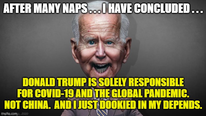 Joe Biden - POTUS Caricature | AFTER MANY NAPS . . . I HAVE CONCLUDED . . . DONALD TRUMP IS SOLELY RESPONSIBLE FOR COVID-19 AND THE GLOBAL PANDEMIC. NOT CHINA.  AND I JUST | image tagged in joe biden - potus caricature | made w/ Imgflip meme maker