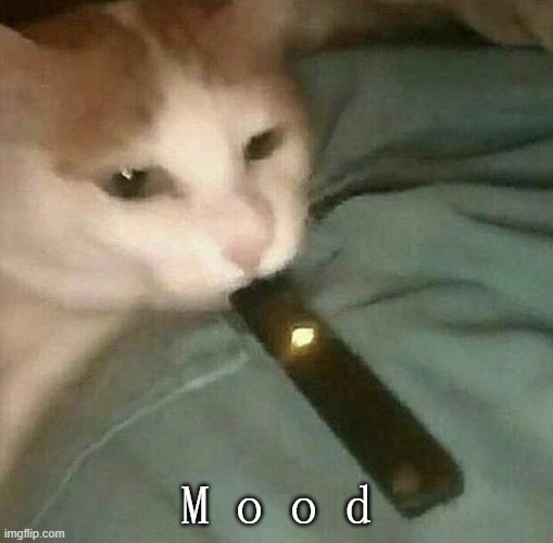 M o o d | made w/ Imgflip meme maker