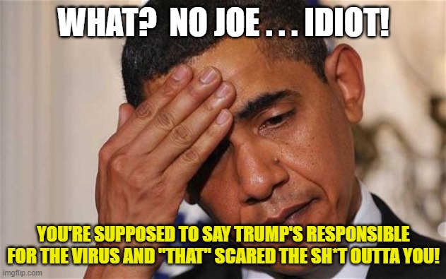 WHAT?  NO JOE . . . IDIOT! YOU'RE SUPPOSED TO SAY TRUMP'S RESPONSIBLE FOR THE VIRUS AND "THAT" SCARED THE SH*T OUTTA YOU! | made w/ Imgflip meme maker