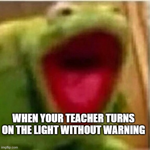 AHHHHHHHHHHHHH | WHEN YOUR TEACHER TURNS ON THE LIGHT WITHOUT WARNING | image tagged in ahhhhhhhhhhhhh | made w/ Imgflip meme maker
