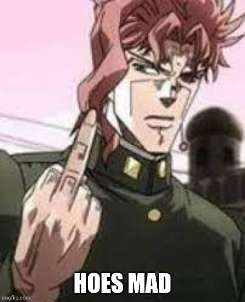 Kakyoin flipping you off | HOES MAD | image tagged in kakyoin flipping you off | made w/ Imgflip meme maker