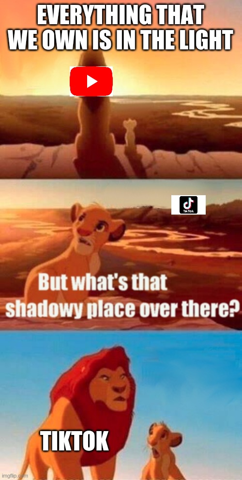 no | EVERYTHING THAT WE OWN IS IN THE LIGHT; TIKTOK | image tagged in memes,simba shadowy place | made w/ Imgflip meme maker