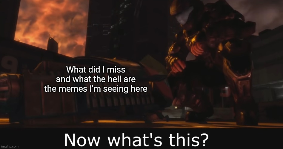 Halo 3 ODST Now what's this | What did I miss and what the hell are the memes I'm seeing here | image tagged in halo 3 odst now what's this | made w/ Imgflip meme maker