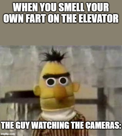 Uhhhhh. | WHEN YOU SMELL YOUR OWN FART ON THE ELEVATOR; THE GUY WATCHING THE CAMERAS: | image tagged in bert muppet what did i just see | made w/ Imgflip meme maker