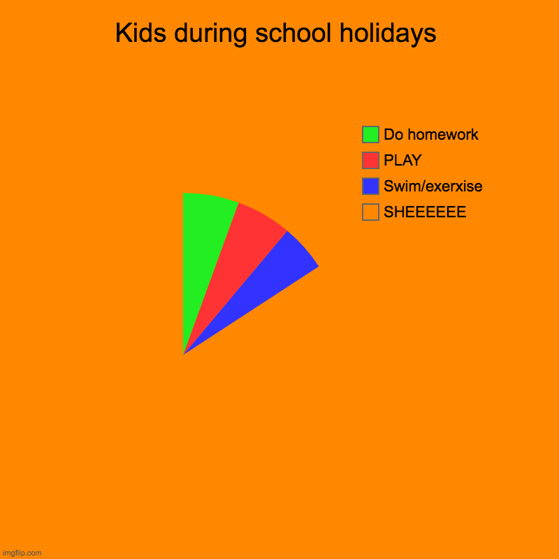 Kids during school holidays | SHEEEEEE, Swim/exerxise, PLAY, Do homework | image tagged in charts,pie charts,tiktok | made w/ Imgflip chart maker