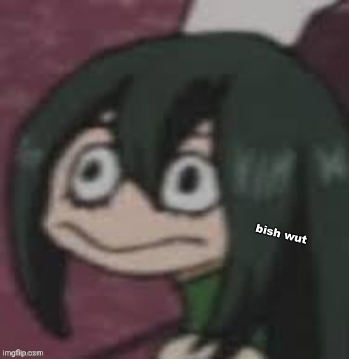 bish wut | image tagged in bish wut | made w/ Imgflip meme maker
