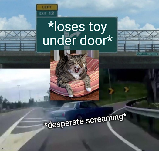 Left Exit 12 Off Ramp | *loses toy under door*; *desperate screaming* | image tagged in memes,left exit 12 off ramp,cat memes,desperate screaming | made w/ Imgflip meme maker