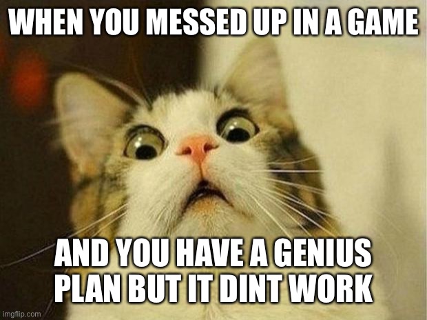 Scared Cat Meme | WHEN YOU MESSED UP IN A GAME; AND YOU HAVE A GENIUS PLAN BUT IT DINT WORK | image tagged in memes,scared cat | made w/ Imgflip meme maker