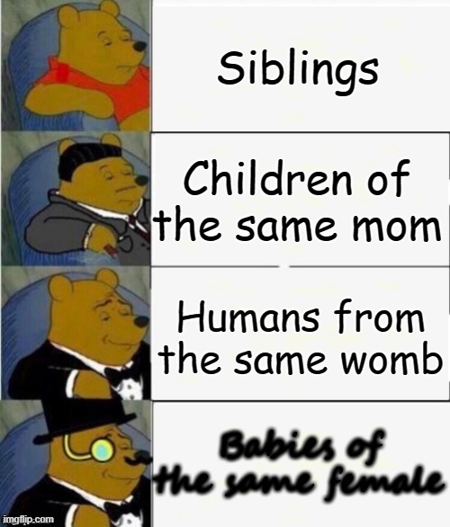Tuxedo Winnie the Pooh 4 panel | Siblings; Children of the same mom; Humans from the same womb; Babies of the same female | image tagged in tuxedo winnie the pooh 4 panel | made w/ Imgflip meme maker