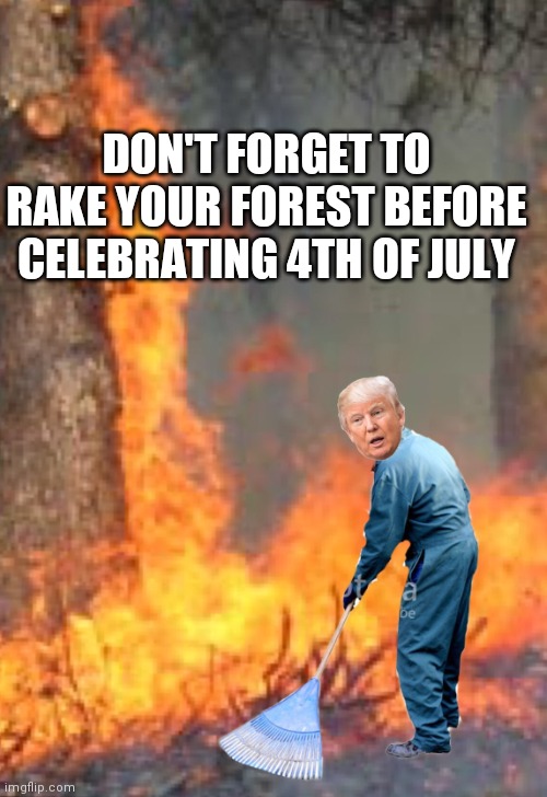 Raking Trump | DON'T FORGET TO RAKE YOUR FOREST BEFORE CELEBRATING 4TH OF JULY | image tagged in raking trump,forest fire,4th of july,july 4th,fourth of july,fireworks | made w/ Imgflip meme maker