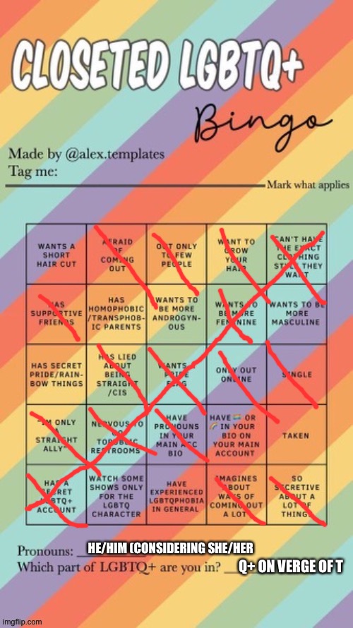 HE/HIM (CONSIDERING SHE/HER; Q+ ON VERGE OF T | image tagged in closeted bingo | made w/ Imgflip meme maker