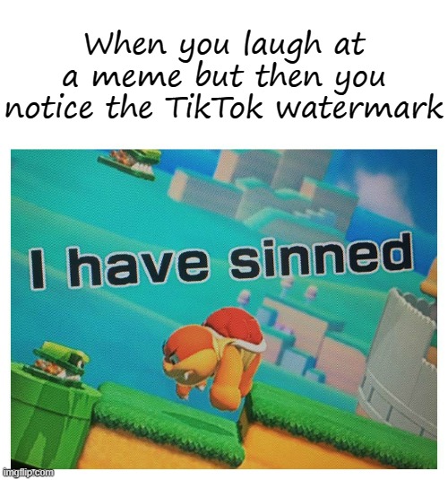 Sin | When you laugh at a meme but then you notice the TikTok watermark | image tagged in sin | made w/ Imgflip meme maker