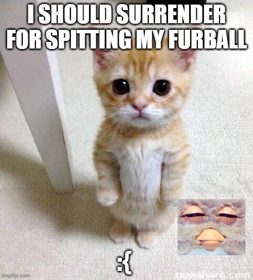 furball | I SHOULD SURRENDER FOR SPITTING MY FURBALL; :{ | image tagged in memes,cute cat | made w/ Imgflip meme maker