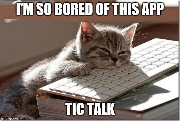 Bored Keyboard Cat | I'M SO BORED OF THIS APP; TIC TALK | image tagged in bored keyboard cat | made w/ Imgflip meme maker