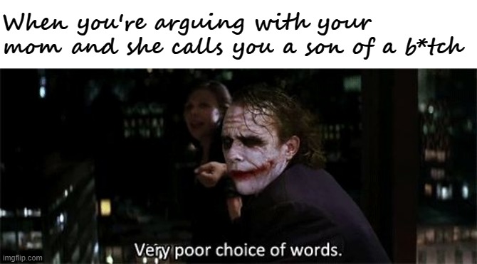 Very poor choice of words | When you're arguing with your mom and she calls you a son of a b*tch | image tagged in very poor choice of words | made w/ Imgflip meme maker