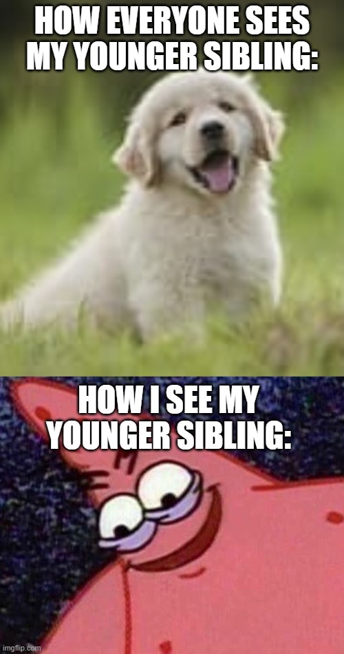  HOW EVERYONE SEES MY YOUNGER SIBLING:; HOW I SEE MY YOUNGER SIBLING: | image tagged in evil patrick | made w/ Imgflip meme maker