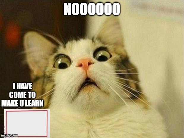 Scared Cat Meme | NOOOOOO; I HAVE COME TO MAKE U LEARN | image tagged in memes,scared cat | made w/ Imgflip meme maker