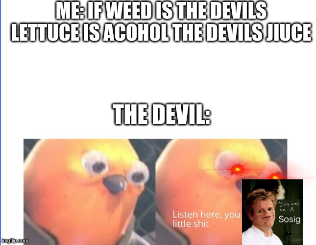 no i wont | ME: IF WEED IS THE DEVILS LETTUCE IS ACOHOL THE DEVILS JIUCE; THE DEVIL: | image tagged in listen here you little shit,lol so funny | made w/ Imgflip meme maker