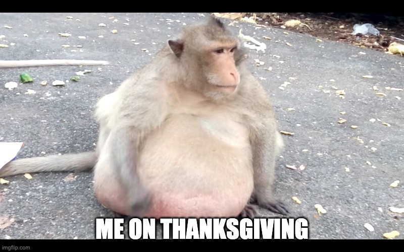 Me on Thanksgiving | ME ON THANKSGIVING | image tagged in thanksgiving,fat,monkey,eating,apes,big chungus | made w/ Imgflip meme maker